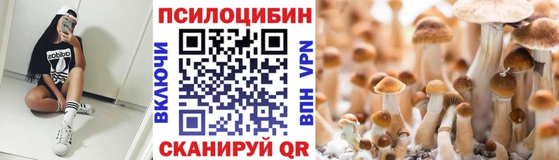 купить наркотик  Таруса  Галлюциногенные грибы Magic Shrooms 